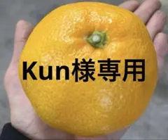 有田みかん　純宝丸　ご家庭用不知火 5㎏入り