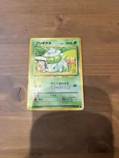 旧裏 ポケモンカード フシギダネ ● 第1弾拡張パック