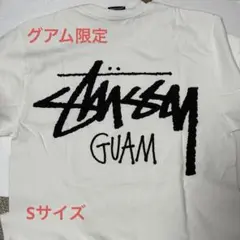 日本未発売 STUSSY ステューシー グアム限定GUAM Tシャツのサムネイル