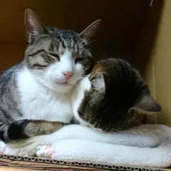 くーちゃん様❤専用part2