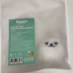 TXT プルバトゥ ポップアップ MD フェイスキーリング 新品未開封 スビン