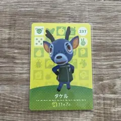 あつまれどうぶつの森　amiibo amibo タケル カード 237