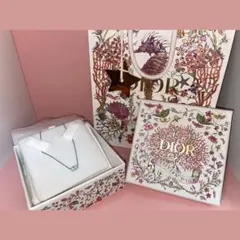 DIOR Clair D Lune ネックレス　シルバー
