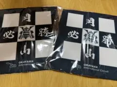 Item thumbnail for item d1ca1124-f305-4f9b-afc7-bf9f696a17cc