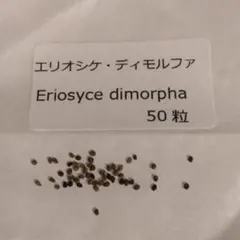 2025年最新】エリオシケの人気アイテム - メルカリ