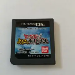 とったど〜！よゐこの無人島生活　DS中古ソフト