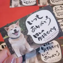 27★　柴犬 11枚　感謝のメッセージカードセット