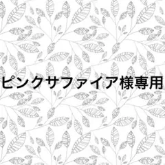 専用ページ