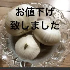 기후현산 무농약 마늘 1.0kg