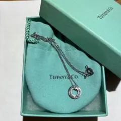 【希少廃盤】TIFFANY&Coティファニー アトラスサークルシルバーネックレス