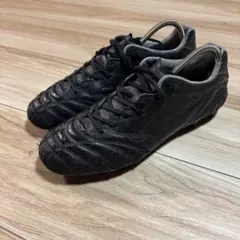 ミズノ モナルシーダ NEO 2 JAPAN NEO 3 25cm