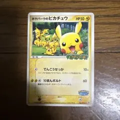 2026年最新】ポケパークのピカチュウの人気アイテム - メルカリ