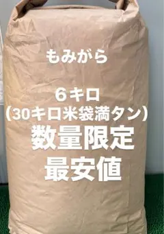 전나무 쌀 6kg 1 봉지