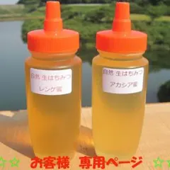 あーさー0921様専用です(*^^*)　アカシア蜜２本&レンゲ蜜２本