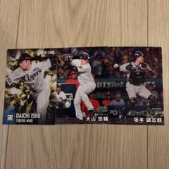 プロ野球チップスカード2026 阪神タイガース 才木・中野選手 - メルカリ