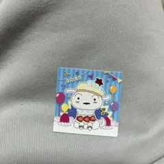 クレヨンしんちゃん チョコビ 20周年シール ノーマル シロ