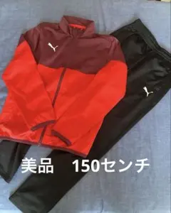 PUMA プーマ ジャージ 上下セット 150 キッズ ジュニア スポーツウェア