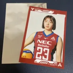 NECレッドロケッツ #23高橋美鈴 ブロマイドセット - メルカリ