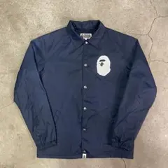 Item thumbnail for item acde85c7-54a1-461b-9c0e-945c005f665f