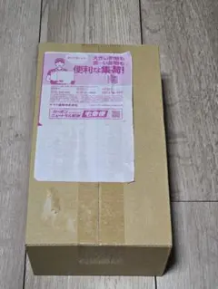 ポケモンセンター　ヒロシマ　スペシャルBOX 未開封シュリンク付き