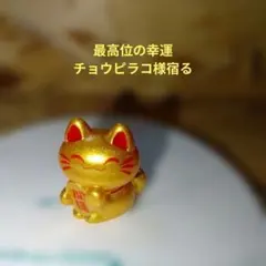 2026年最新】チョウピラコの人気アイテム - メルカリ