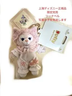 上海ディズニー　リーナベル　リラックス　パジャマ　バニティ　バッグ セット 上海ディズニー リーナベル リラックス パジャマ バニティ