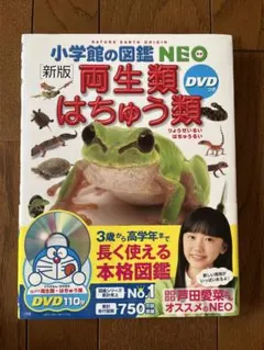 両生類・はちゅう類