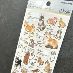 m様 リクエスト 4点 まとめ商品