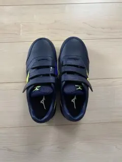 Item thumbnail for item 7bacd423-9818-48ae-92b0-f5079290bf21