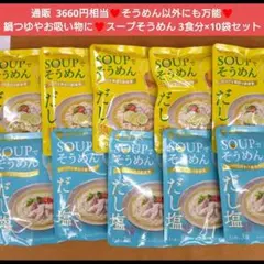 スープでそうめん 柚子 だし塩 めんつゆ 調味料 ラーメン 出汁 たれ