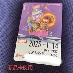 新品未使用　ディズニーフリー切符リゾラフリーきっぷグルートマーベル東京ディズニー
