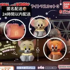 TOM and JERRY ライトマスコット 3