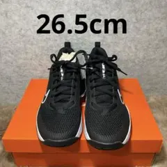 Nike Air Max ブラック スニーカー