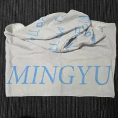 最終値下げ！SEVENTEEN ミンギュ FOLLOW フード付きタオル