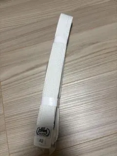 Item thumbnail for item 146ac47c-70a3-47f8-9aba-76b4a7578c49