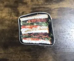 Item thumbnail for item 0837fabf-0732-4090-b818-fb2c72fd2902