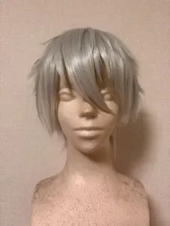 ブルーロック ブルロ 凪誠士郎 コスプレ ウィッグ