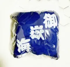 Item thumbnail for item 42bd8435-4996-483e-a7dc-9fb5afe45b3b