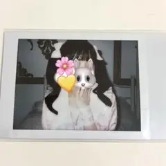 2025年最新】福丸うさ チェキの人気アイテム - メルカリ