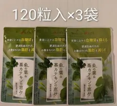 新品未開封品 和漢の森 桑の葉&茶カテキンの恵み 120粒入 2袋セット