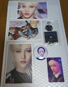 straykids マニアック