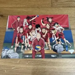 ハイキュー!! ゴミ捨て場の決戦 入場者特典 音駒高校最後の集合写真