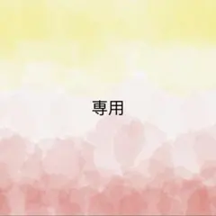 パンダコッタ様 リクエスト 3点 まとめ商品