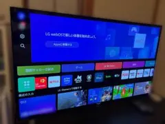 LG 48V型 4K有機ELテレビ OLED48A2PJA】のサムネイル