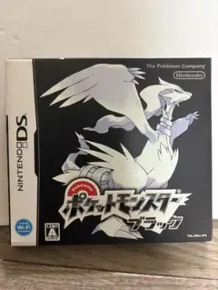 【希少/初期ロット新品未開封】ニンテンドーDS ポケットモンスター ブラック