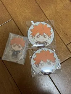 ハイキュー セガラッキーくじ ラストラッキー賞 ぬいぐるみ マスコット 日向