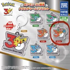ポケモン 30周年 メタルチャームマスコット リザードン