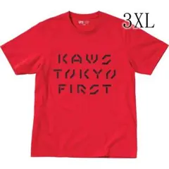 3xl Tシャツ