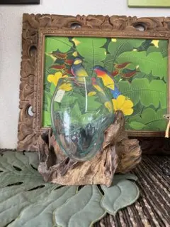 流木ガラス オブジェ中 花瓶 金魚鉢 ガーデニング テラリウム 観賞魚 容器