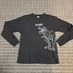 devirock 恐竜プリント ロンT 160cm